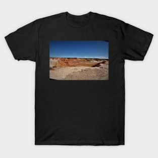 Colours in the desert T-Shirt